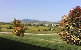 Villa Belvedere Degli Ulivi